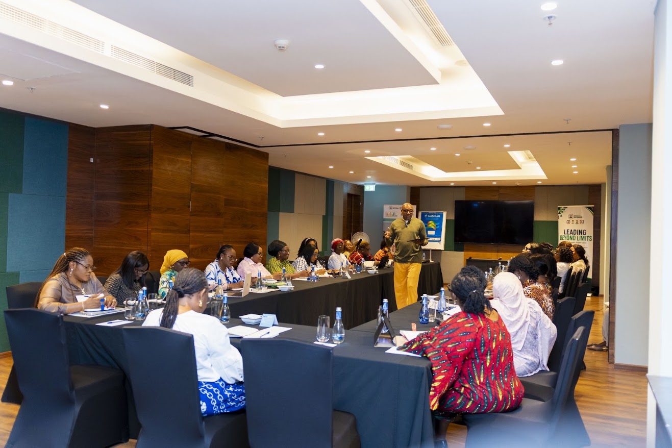 Zimedy consultants reviewing a business process redesign in the telecommunications sector
